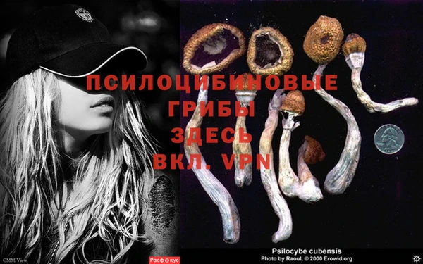 стафф Волоколамск