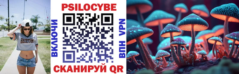 Псилоцибиновые грибы GOLDEN TEACHER  Мариинск 